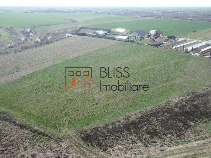 Photo 16 - BLISS Imobiliare