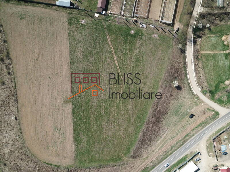 Photo 17 - BLISS Imobiliare