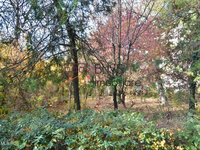 Casa de Vanzare Bucurestii Noi - Damaroaia - Chitila - 2 Camere - ID:115520 | Bliss Imobiliare / Photo 2 - BLISS Imobiliare