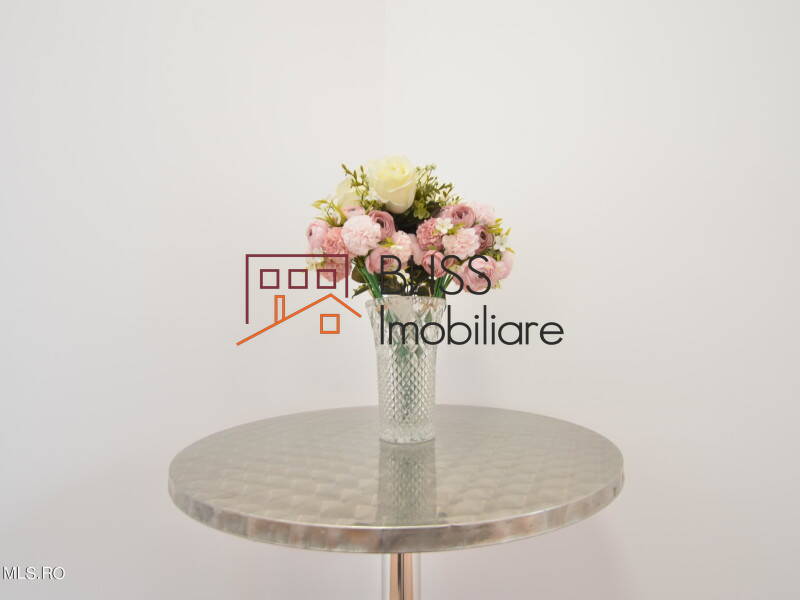 House for Sale Bucurestii Noi - Damaroaia - Chitila, Bucharest - 1 Bedroom - ID:115520 | Bliss Imobiliare / Photo 25 - BLISS Imobiliare