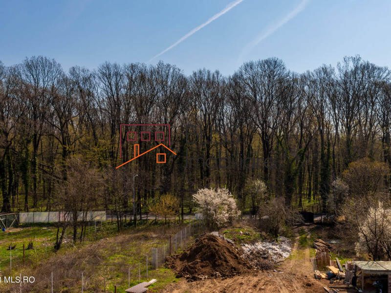 Apartment for Sale Iancu Nicolae | Pipera, Bucharest - 2 Bedroom - ID:115545 | Bliss Imobiliare / Photo 21 - BLISS Imobiliare