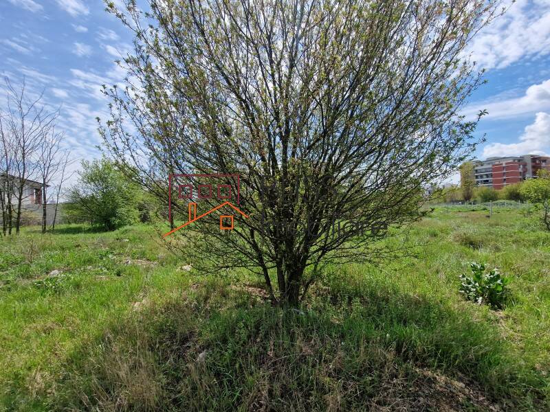 Photo 10 - BLISS Imobiliare