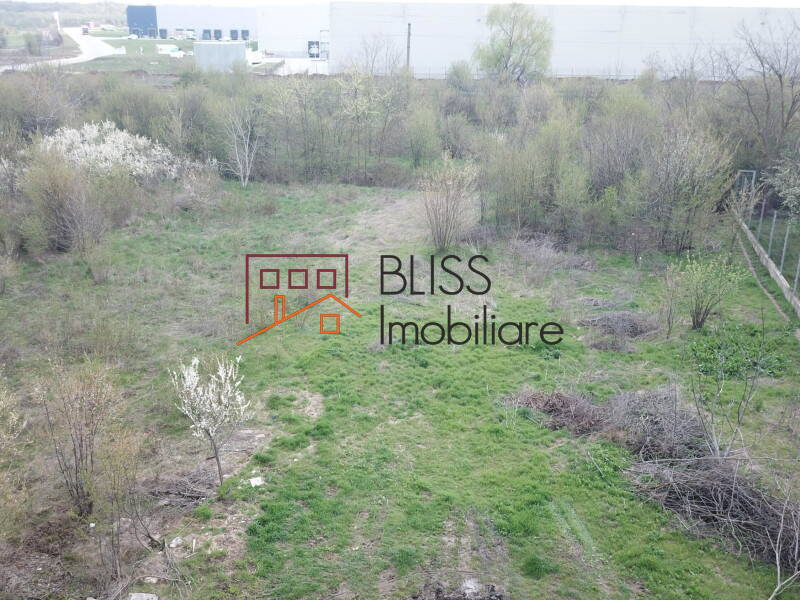 Photo 1 - BLISS Imobiliare