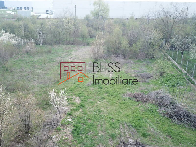 Photo 2 - BLISS Imobiliare