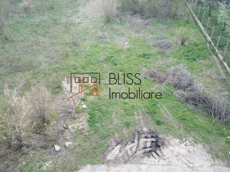 Photo 3 - BLISS Imobiliare
