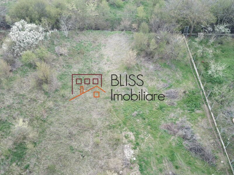 Photo 4 - BLISS Imobiliare