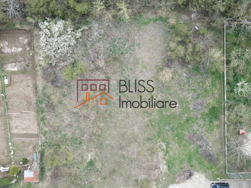Photo 5 - BLISS Imobiliare