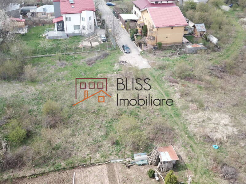 Photo 7 - BLISS Imobiliare