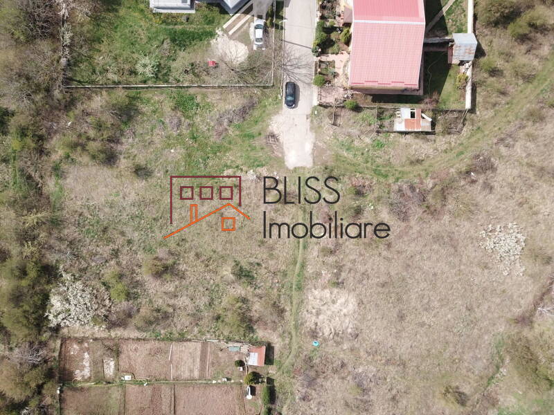 Photo 8 - BLISS Imobiliare