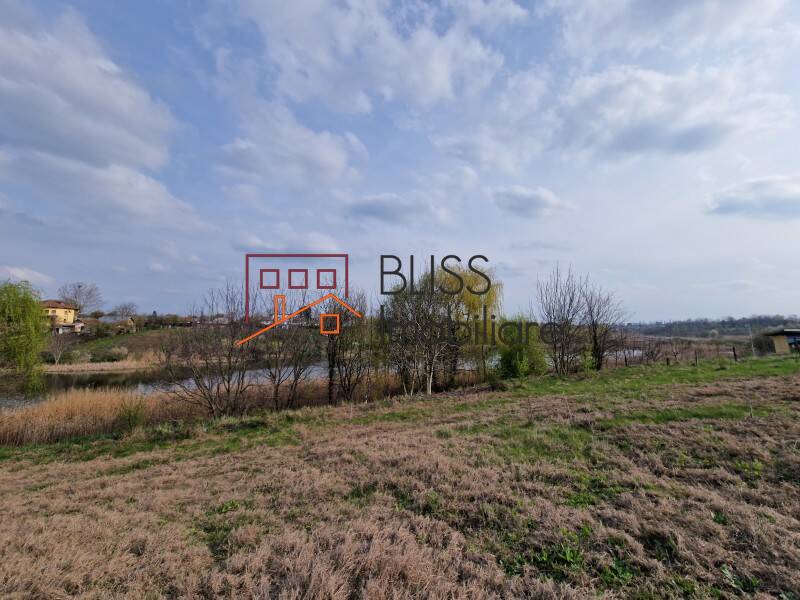 Photo 7 - BLISS Imobiliare