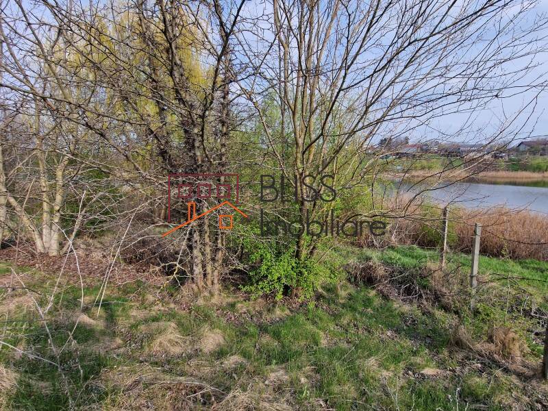 Photo 9 - BLISS Imobiliare