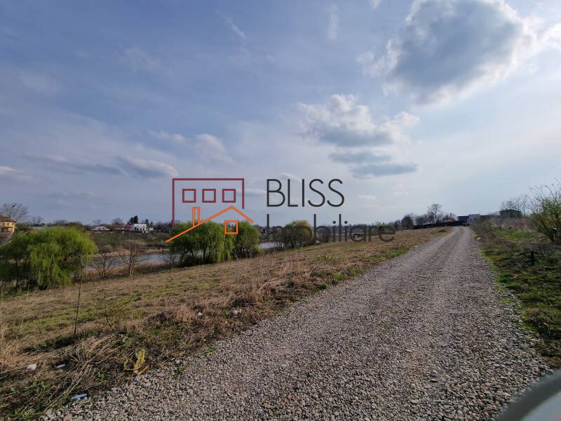 Photo 6 - BLISS Imobiliare
