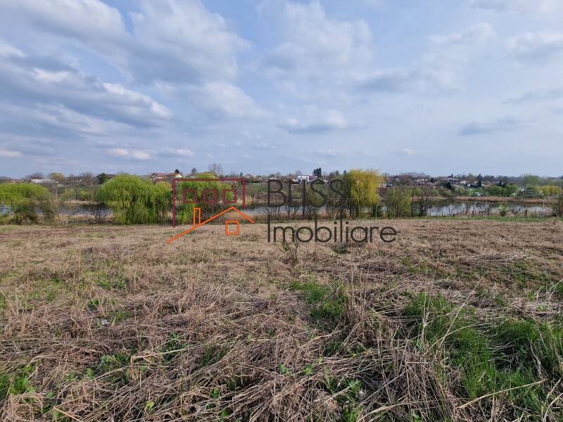 Photo 8 - BLISS Imobiliare