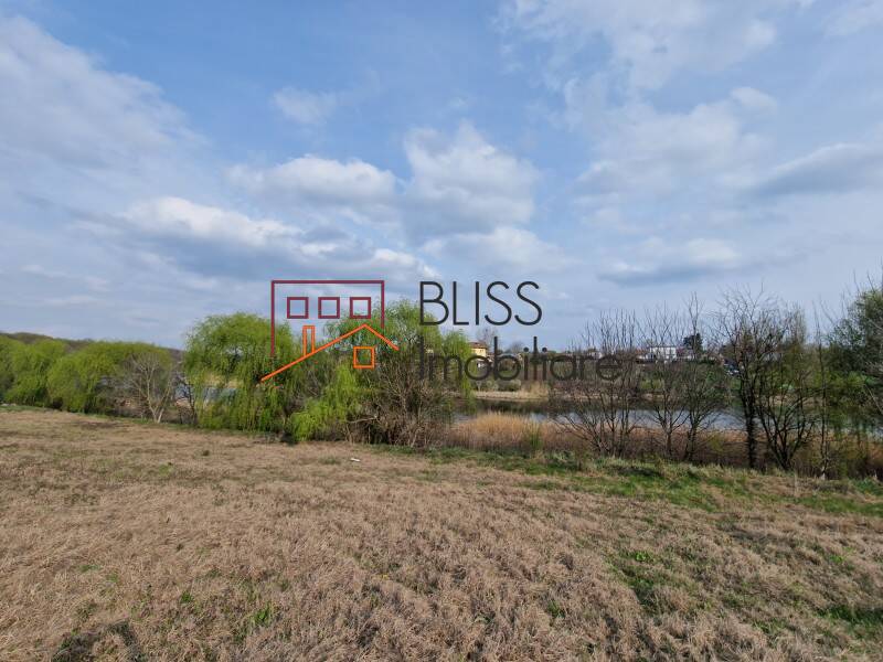 Photo 9 - BLISS Imobiliare