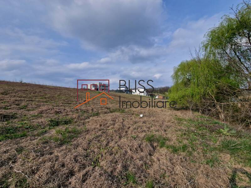 Photo 10 - BLISS Imobiliare