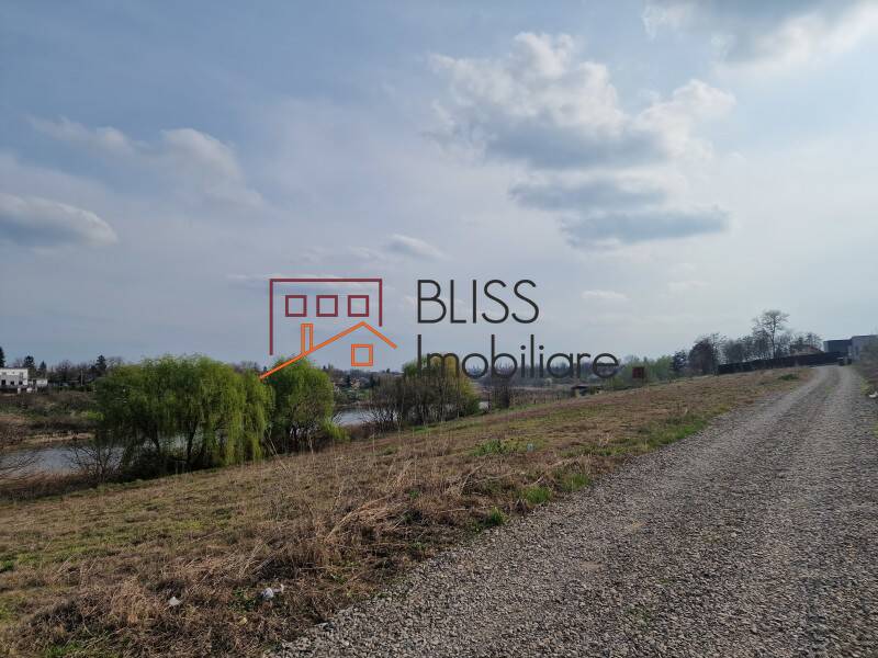 Photo 12 - BLISS Imobiliare