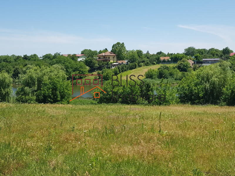 Photo 4 - BLISS Imobiliare