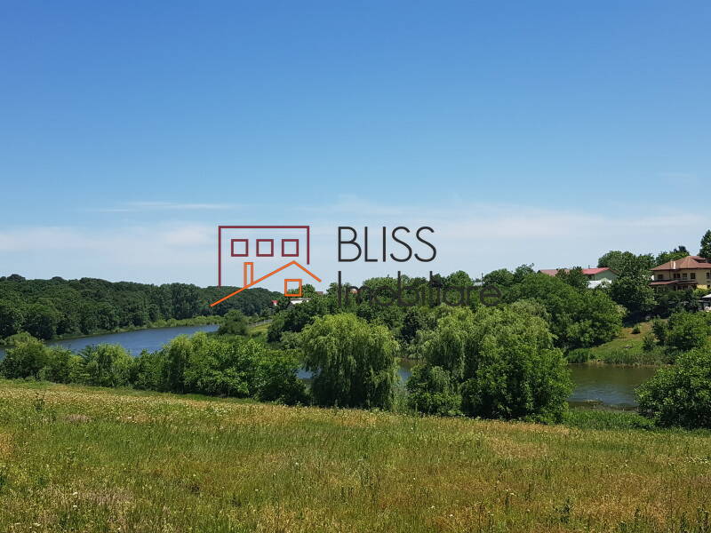 Photo 5 - BLISS Imobiliare