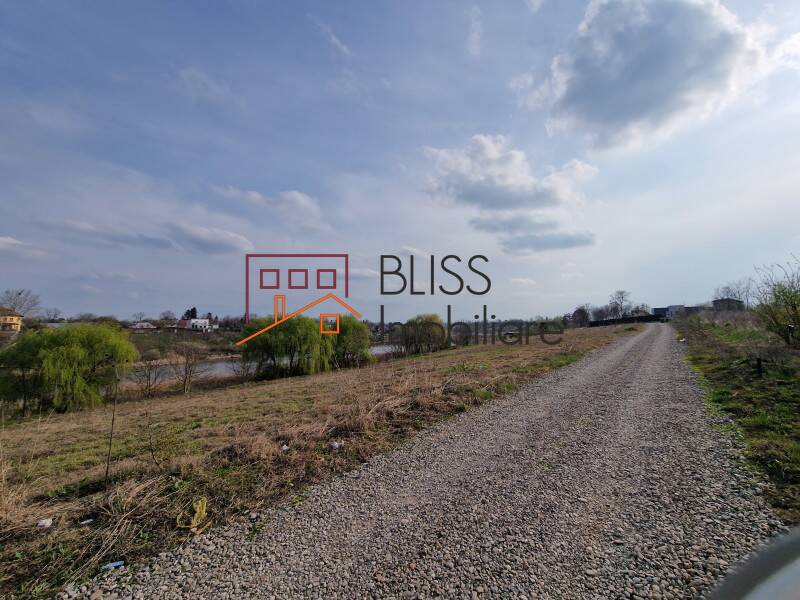 Photo 8 - BLISS Imobiliare