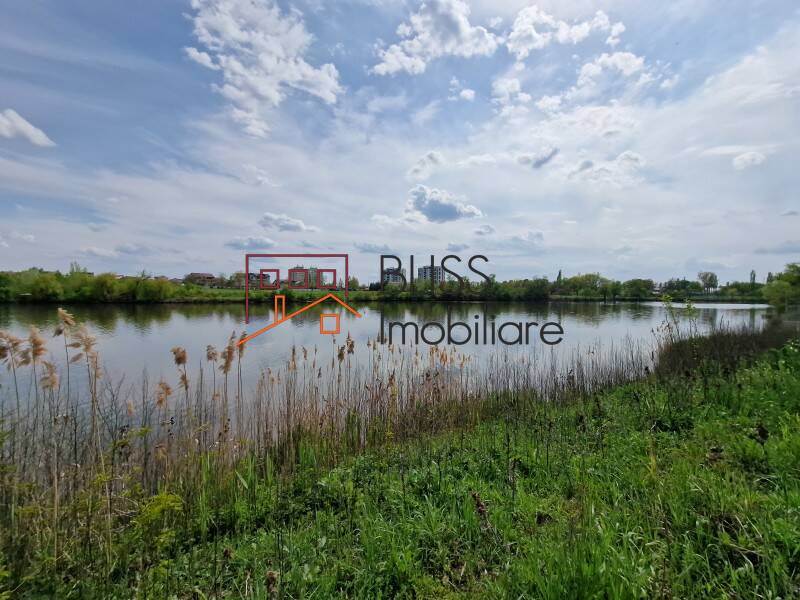 Photo 6 - BLISS Imobiliare