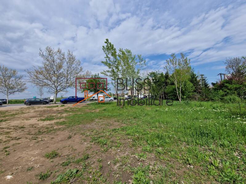 Photo 10 - BLISS Imobiliare