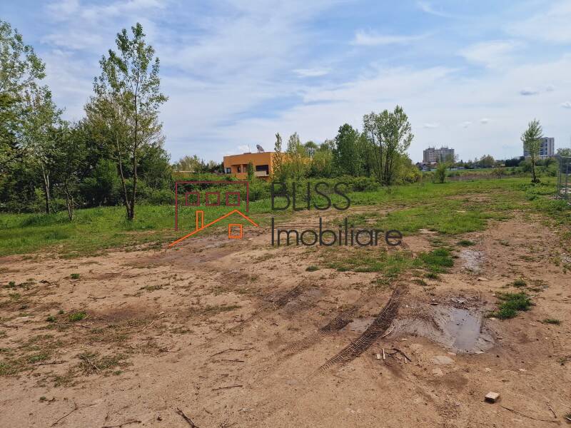 Photo 11 - BLISS Imobiliare