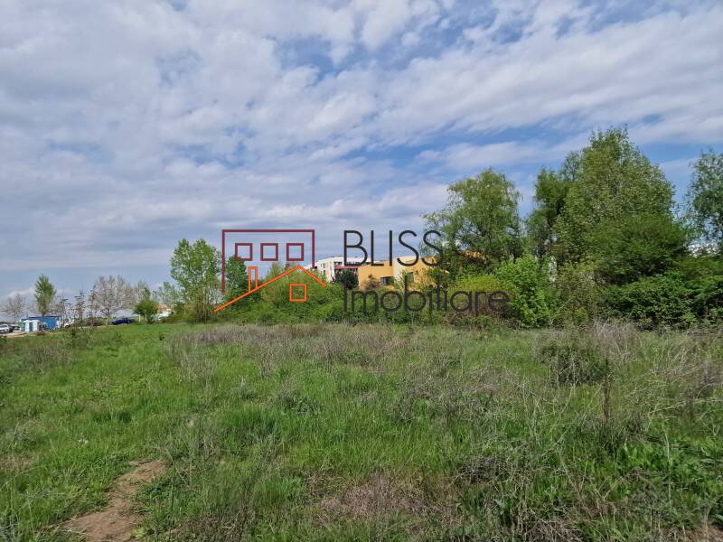 Photo 13 - BLISS Imobiliare