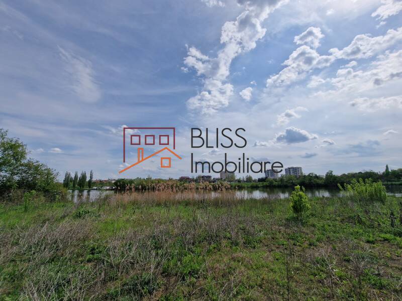 Photo 11 - BLISS Imobiliare