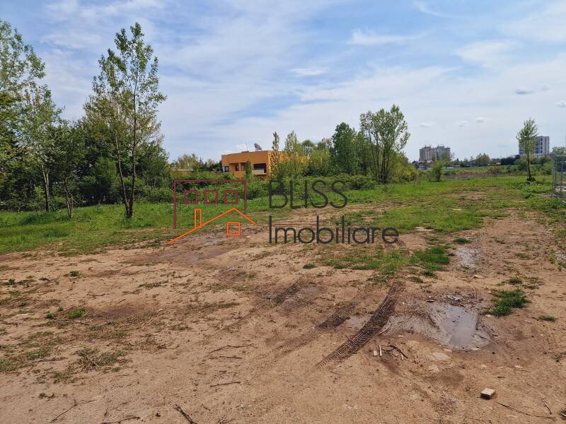 Photo 14 - BLISS Imobiliare