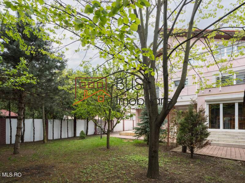 Villa for Sale Iancu Nicolae | Pipera, Bucharest / Ilfov - 5 Bedroom - ID:115845 | Bliss Imobiliare / Photo 4 - BLISS Imobiliare