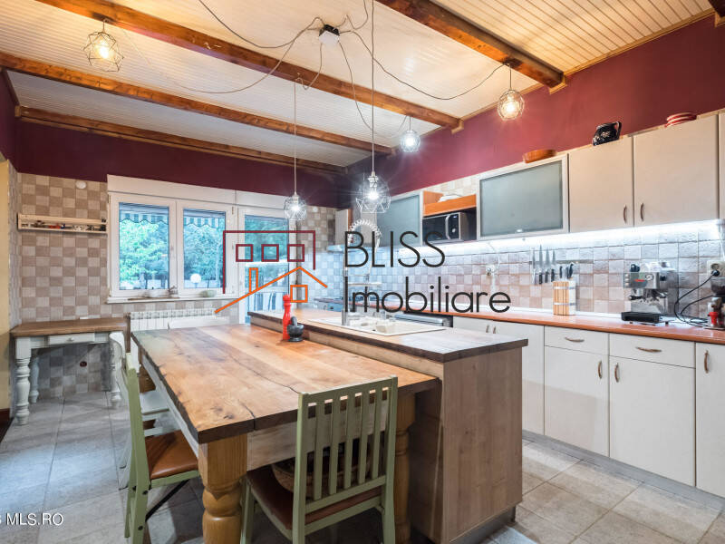 Vila de Vanzare Iancu Nicolae | Pipera - 10 Camere - ID:115845 | Bliss Imobiliare / Photo 24 - BLISS Imobiliare