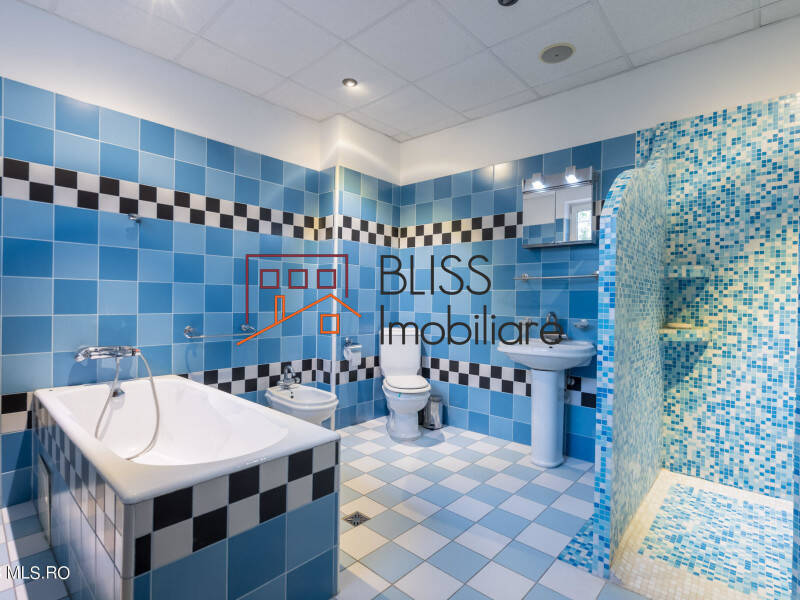 Vila de Vanzare Iancu Nicolae | Pipera - 10 Camere - ID:115845 | Bliss Imobiliare / Photo 32 - BLISS Imobiliare