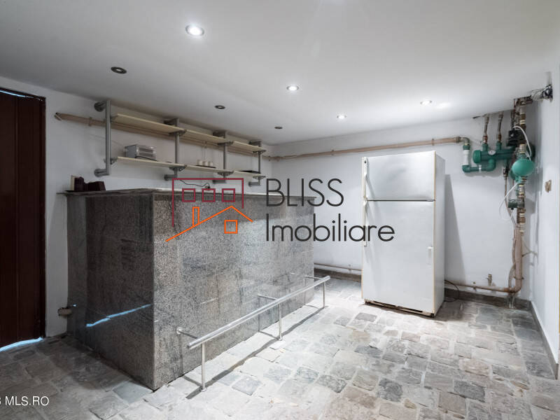 Villa for Sale Iancu Nicolae | Pipera, Bucharest / Ilfov - 5 Bedroom - ID:115845 | Bliss Imobiliare / Photo 47 - BLISS Imobiliare