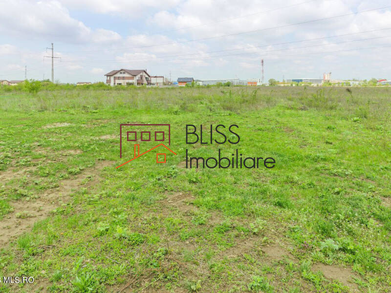 Photo 5 - BLISS Imobiliare
