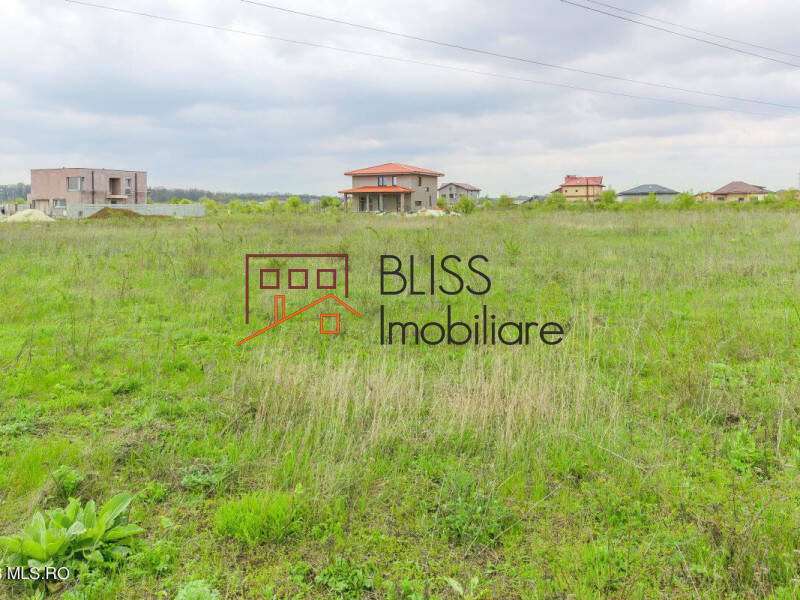 Photo 7 - BLISS Imobiliare