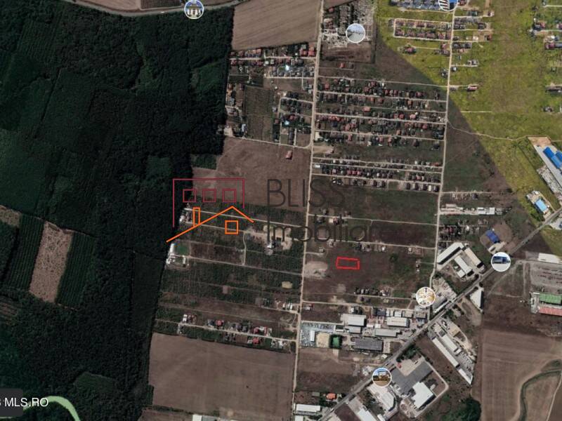 Photo 11 - BLISS Imobiliare