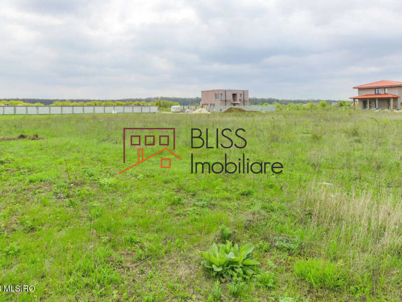 Photo 5 - BLISS Imobiliare