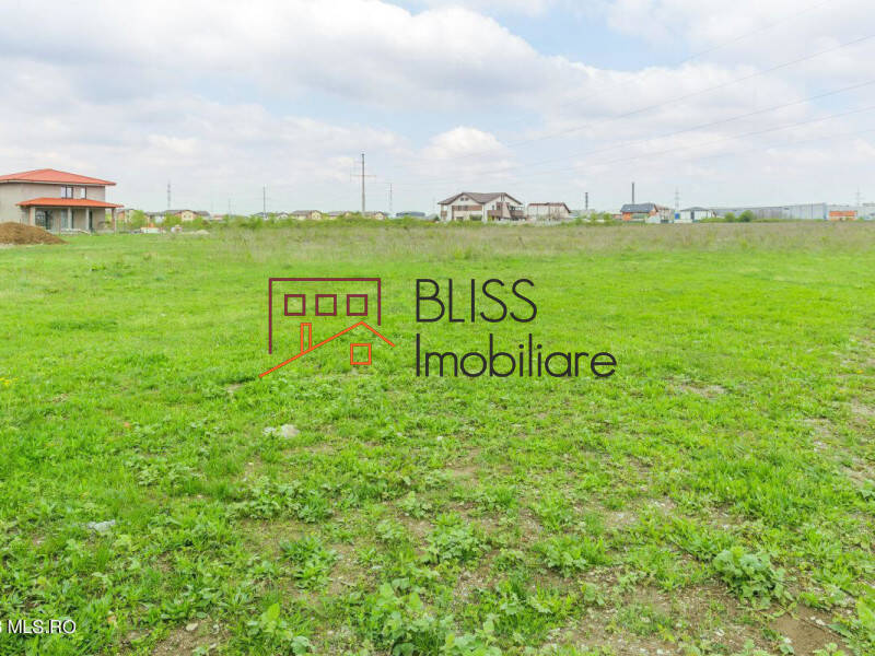 Photo 10 - BLISS Imobiliare