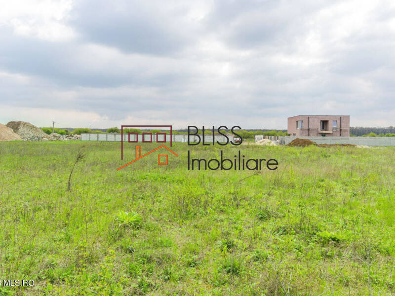 Photo 13 - BLISS Imobiliare