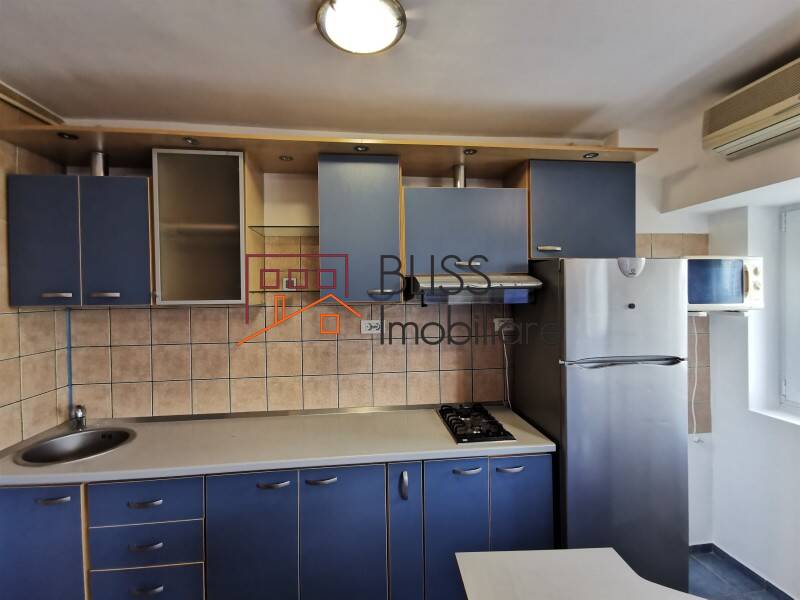 Renovated Studio Apartment Unirii Area, Bucharest | Bliss Imobiliare / Photo 8 - BLISS Imobiliare