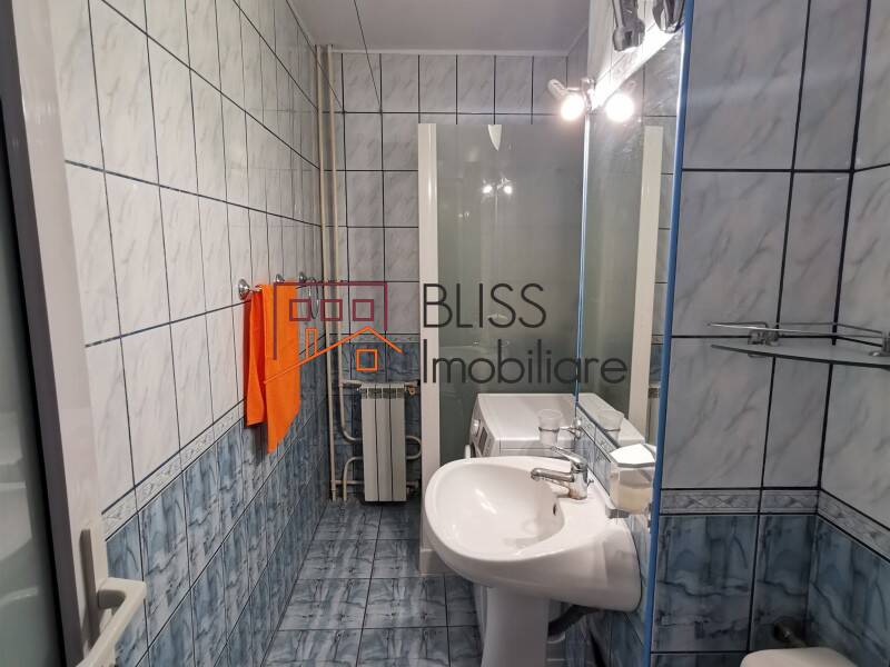 Renovated Studio Apartment Unirii Area, Bucharest | Bliss Imobiliare / Photo 9 - BLISS Imobiliare