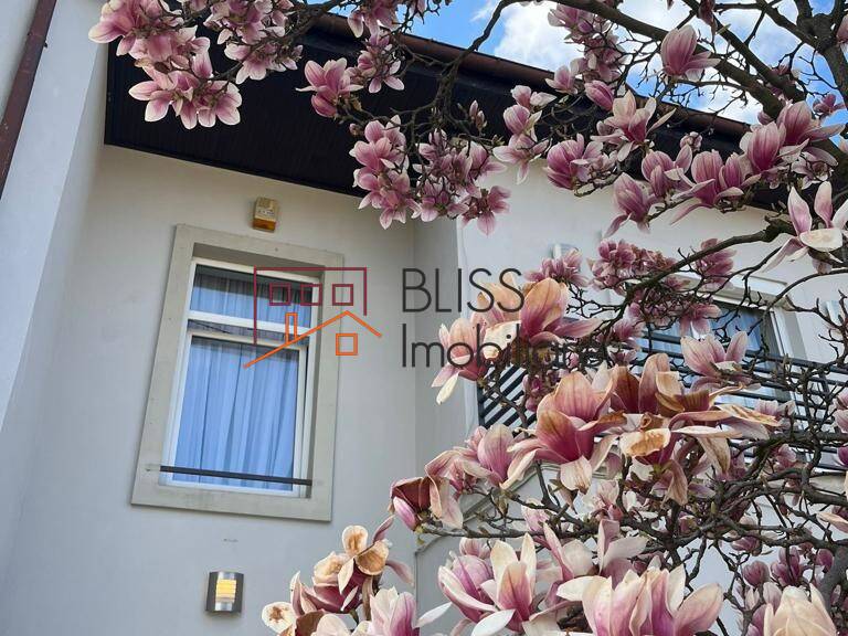 Vila 7 Camere Cu Gradina Privata In Iancu Nicolae | BLISS Imobiliare | Bliss Imobiliare / Photo 5 - BLISS Imobiliare