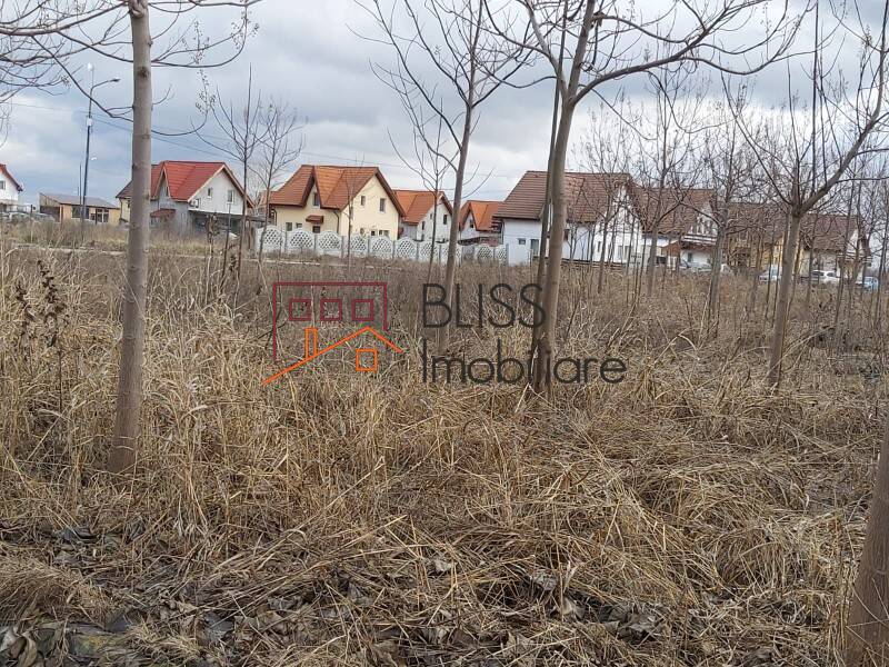 Photo 1 - BLISS Imobiliare