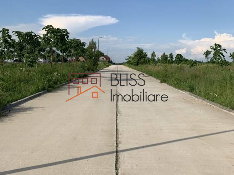 Photo 4 - BLISS Imobiliare
