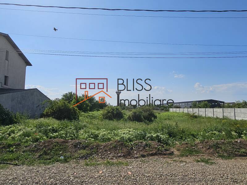 Photo 6 - BLISS Imobiliare