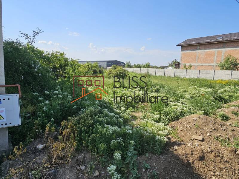 Photo 11 - BLISS Imobiliare