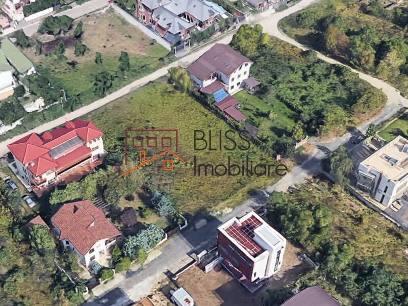 Photo 4 - BLISS Imobiliare