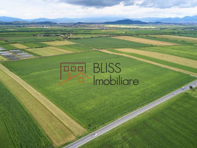 Photo 7 - BLISS Imobiliare