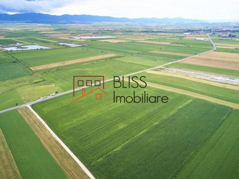 Photo 11 - BLISS Imobiliare