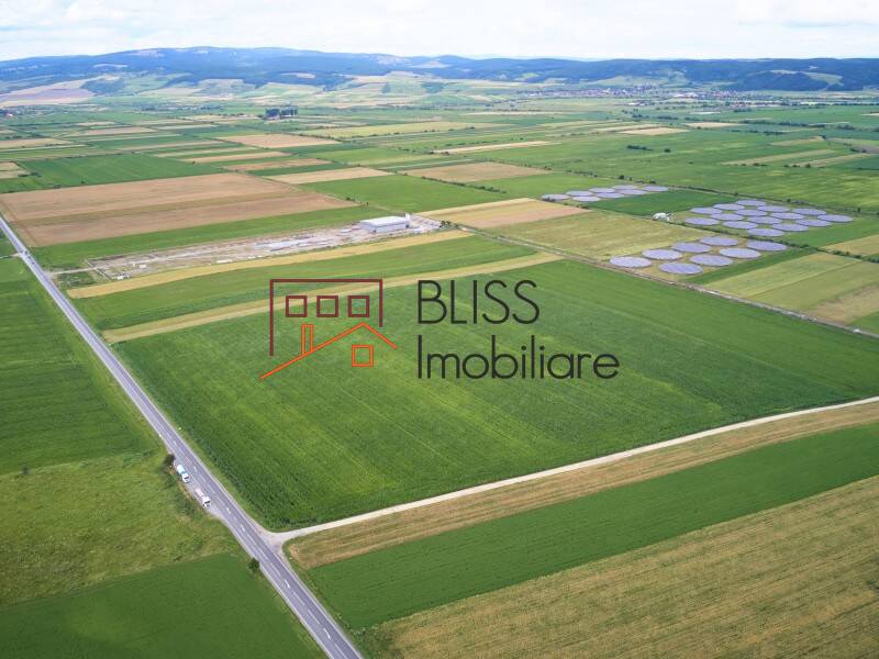 Photo 13 - BLISS Imobiliare